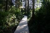 spruce_fringe_trail 006